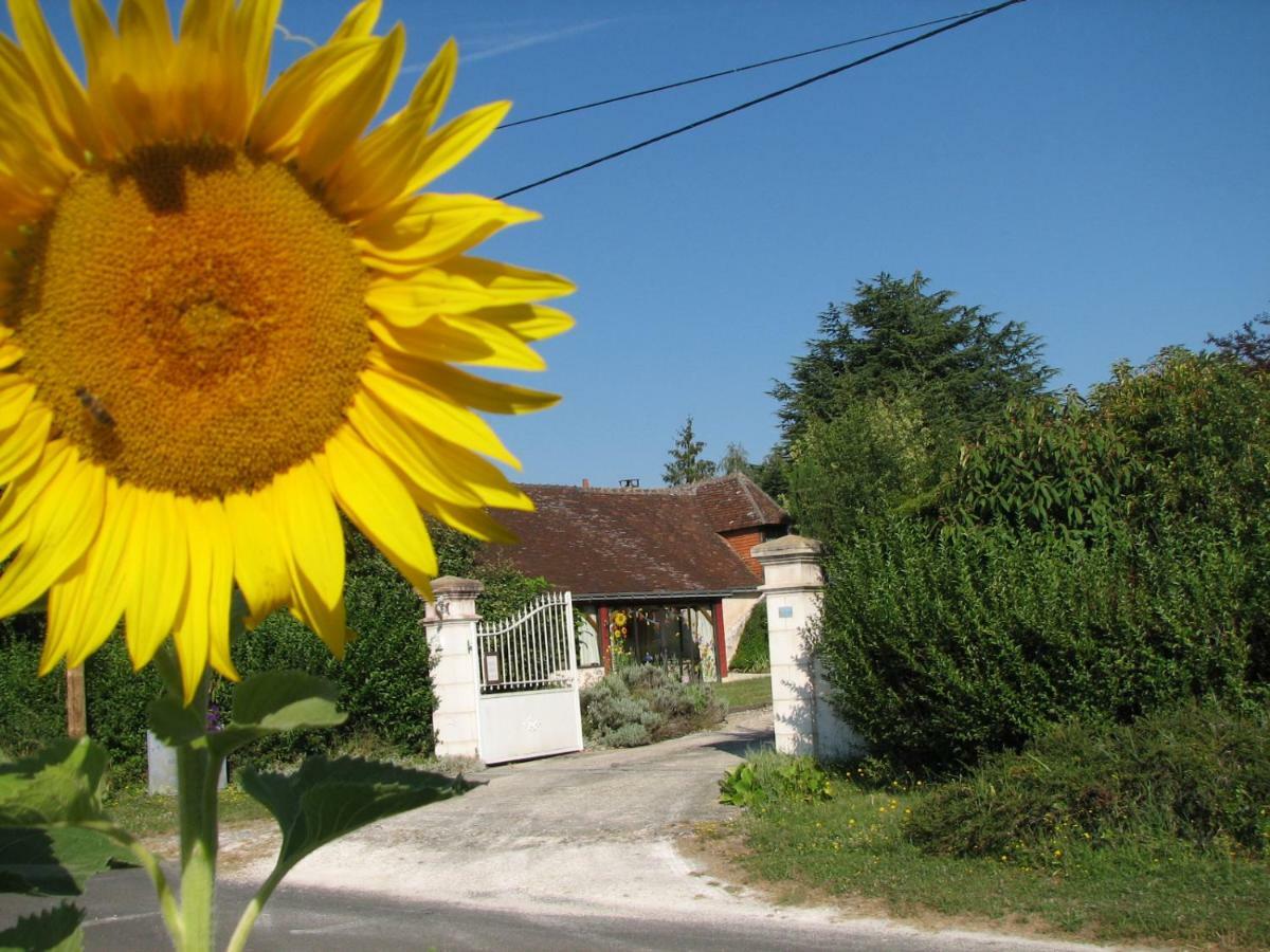 Le Clos Du Petit Marray Bed and Breakfast Chambourg-sur-Indre Buitenkant foto
